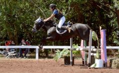 Foto de la galería: Talento misionero presente en torneo de equitación en Posadas