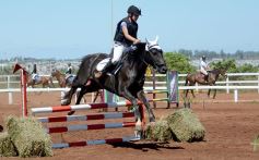 Foto de la galería: Talento misionero presente en torneo de equitación en Posadas