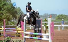 Foto de la galería: Talento misionero presente en torneo de equitación en Posadas