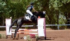 Foto de la galería: Talento misionero presente en torneo de equitación en Posadas
