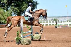 Foto de la galería: Equitación y encuentro en el Campo Hípico Casco Rosado de Posadas