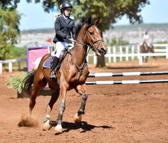 Foto de la galería: Equitación y encuentro en el Campo Hípico Casco Rosado de Posadas
