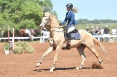 Foto de la galería: Equitación y encuentro en el Campo Hípico Casco Rosado de Posadas