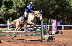 Foto de la galería: Equitación y encuentro en el Campo Hípico Casco Rosado de Posadas