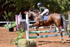 Foto de la galería: Equitación y encuentro en el Campo Hípico Casco Rosado de Posadas
