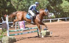 Foto de la galería: Equitación y encuentro en el Campo Hípico Casco Rosado de Posadas