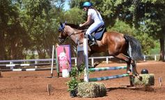 Foto de la galería: Equitación y encuentro en el Campo Hípico Casco Rosado de Posadas