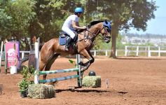 Foto de la galería: Equitación y encuentro en el Campo Hípico Casco Rosado de Posadas