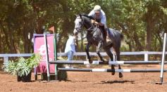 Foto de la galería: Equitación y encuentro en el Campo Hípico Casco Rosado de Posadas