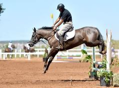 Foto de la galería: Equitación y encuentro en el Campo Hípico Casco Rosado de Posadas
