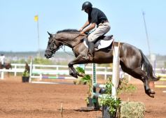 Foto de la galería: Equitación y encuentro en el Campo Hípico Casco Rosado de Posadas