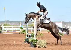 Foto de la galería: Equitación y encuentro en el Campo Hípico Casco Rosado de Posadas