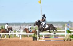 Foto de la galería: Equitación y encuentro en el Campo Hípico Casco Rosado de Posadas