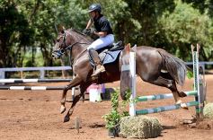 Foto de la galería: Equitación y encuentro en el Campo Hípico Casco Rosado de Posadas