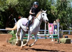 Foto de la galería: Equitación y encuentro en el Campo Hípico Casco Rosado de Posadas
