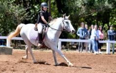 Foto de la galería: Equitación y encuentro en el Campo Hípico Casco Rosado de Posadas