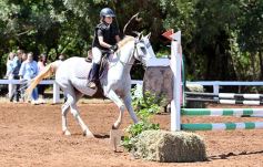 Foto de la galería: Equitación y encuentro en el Campo Hípico Casco Rosado de Posadas