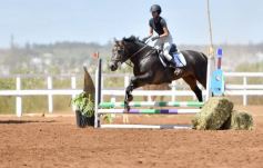 Foto de la galería: Equitación y encuentro en el Campo Hípico Casco Rosado de Posadas