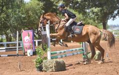 Foto de la galería: Equitación y encuentro en el Campo Hípico Casco Rosado de Posadas