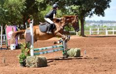 Foto de la galería: Equitación y encuentro en el Campo Hípico Casco Rosado de Posadas