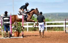 Foto de la galería: Equitación y encuentro en el Campo Hípico Casco Rosado de Posadas