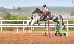 Foto de la galería: Equitación y encuentro en el Campo Hípico Casco Rosado de Posadas
