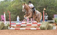 Foto de la galería: Equitación y encuentro en el Campo Hípico Casco Rosado de Posadas