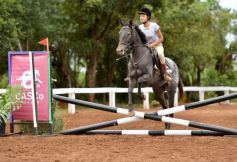 Foto de la galería: Equitación y encuentro en el Campo Hípico Casco Rosado de Posadas