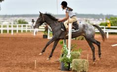 Foto de la galería: Equitación y encuentro en el Campo Hípico Casco Rosado de Posadas