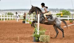 Foto de la galería: Equitación y encuentro en el Campo Hípico Casco Rosado de Posadas
