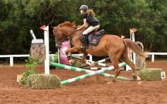 Foto de la galería: Equitación y encuentro en el Campo Hípico Casco Rosado de Posadas