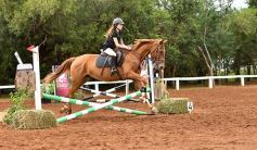 Foto de la galería: Equitación y encuentro en el Campo Hípico Casco Rosado de Posadas