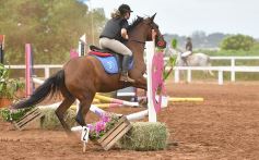 Foto de la galería: Equitación y encuentro en el Campo Hípico Casco Rosado de Posadas