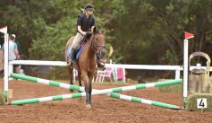 Foto de la galería: Equitación y encuentro en el Campo Hípico Casco Rosado de Posadas