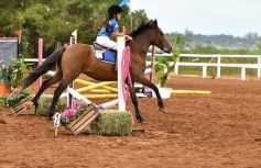 Foto de la galería: Equitación y encuentro en el Campo Hípico Casco Rosado de Posadas