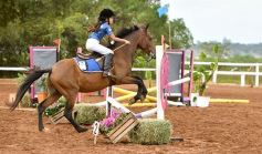 Foto de la galería: Equitación y encuentro en el Campo Hípico Casco Rosado de Posadas