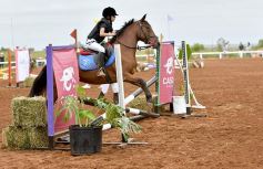 Foto de la galería: Equitación y encuentro en el Campo Hípico Casco Rosado de Posadas