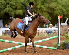 Foto de la galería: Equitación y encuentro en el Campo Hípico Casco Rosado de Posadas