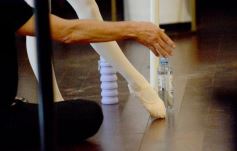 Foto de la galería: Magistral seminario de ballet con Maximiliano Guerra en Posadas