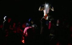 Foto de la galería: Recorded: teatro experimental en Posadas