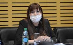 Foto de la galería: La erradicación del trabajo infantil en el eje de la agenda del Parlamento Misionero