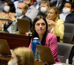 Foto de la galería: Apertura de Sesiones: Herrera Ahuad brindó el tradicional discurso del 1ro de Mayo