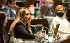 Foto de la galería: Legislatura Provincial: sanción de leyes en salud, producción y medio ambiente