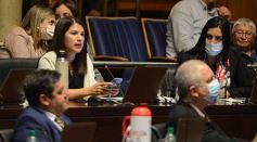 Foto de la galería: Legislatura Provincial: sanción de leyes en salud, producción y medio ambiente