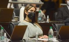 Foto de la galería: Legislatura Provincial: sanción de leyes en salud, producción y medio ambiente