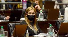 Foto de la galería: Legislatura Provincial: sanción de leyes en salud, producción y medio ambiente