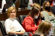 Foto de la galería: Legislatura Provincial: sanción de leyes en salud, producción y medio ambiente