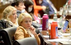 Foto de la galería: Legislatura Provincial: sanción de leyes en salud, producción y medio ambiente