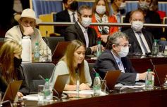 Foto de la galería: Legislatura Provincial: sanción de leyes en salud, producción y medio ambiente