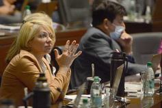 Foto de la galería: Legislatura Provincial: sanción de leyes en salud, producción y medio ambiente